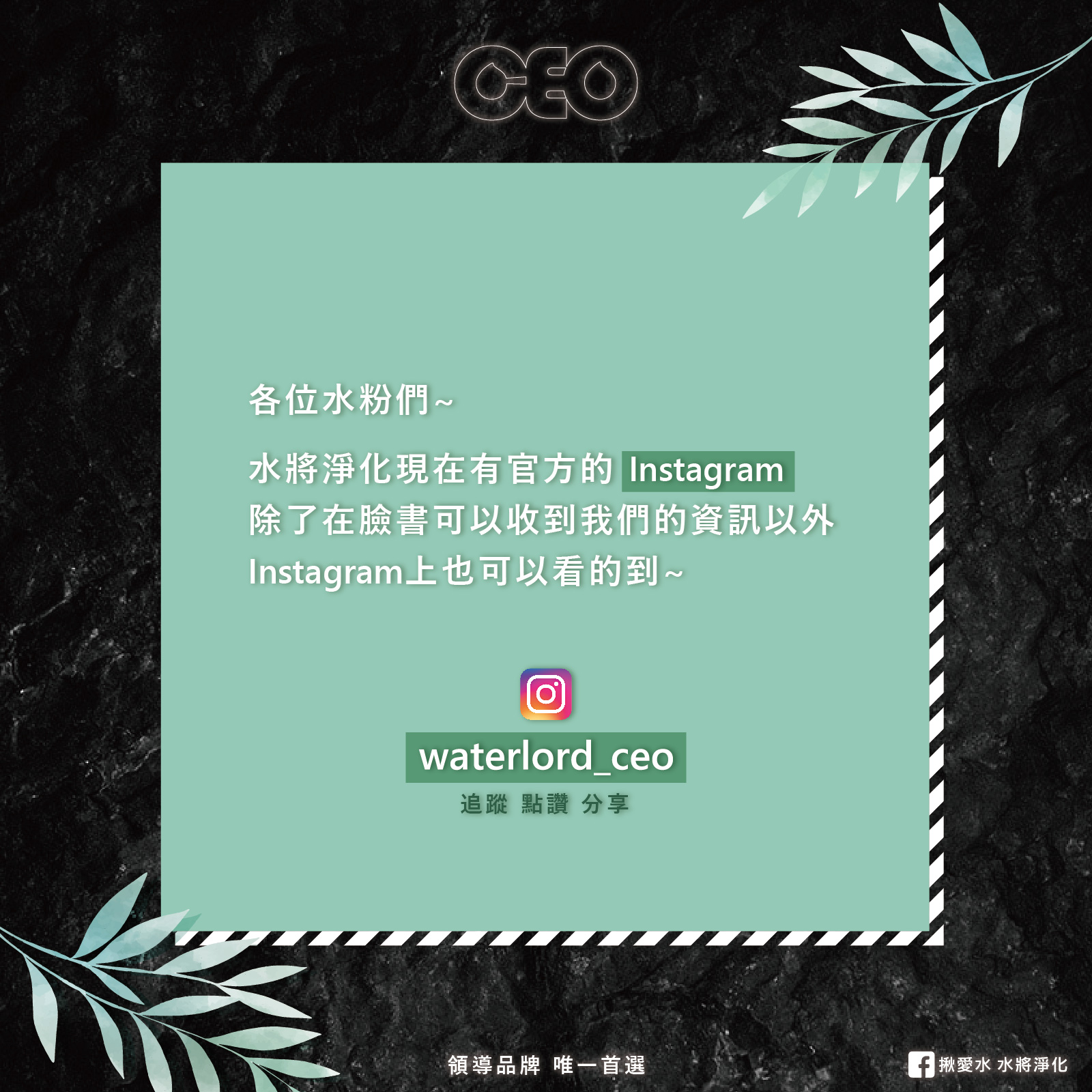 IG-01(1)