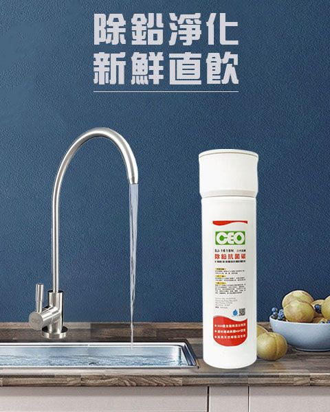 浄水器｜三世代一管式飲用コンビネーションパック｜鉛を除去した銀担持焼結炭素【そのまま飲めるフィルター】